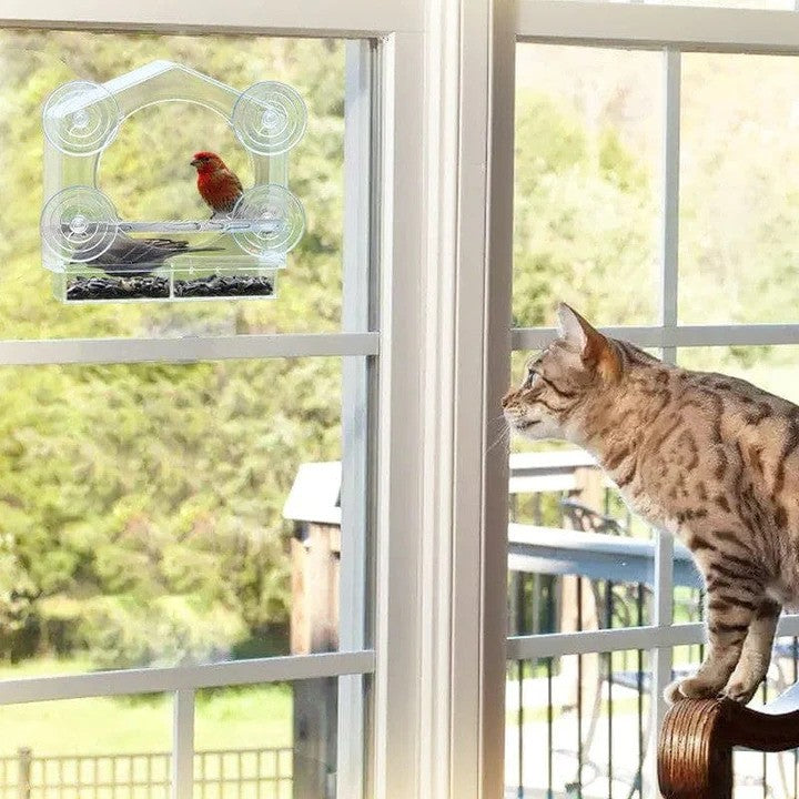 Window Bird Feeder