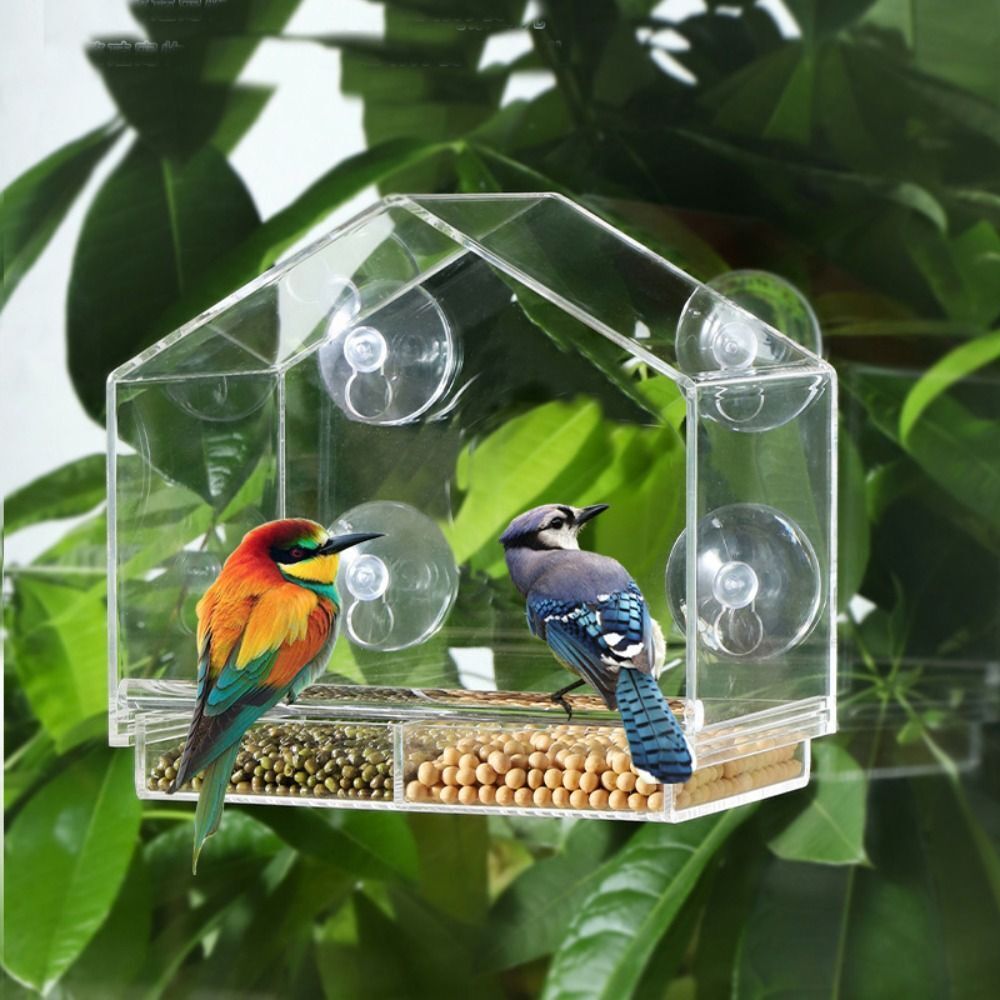 Window Bird Feeder