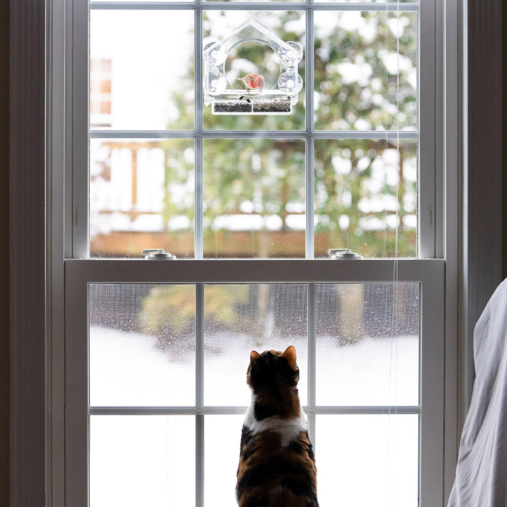 Window Bird Feeder