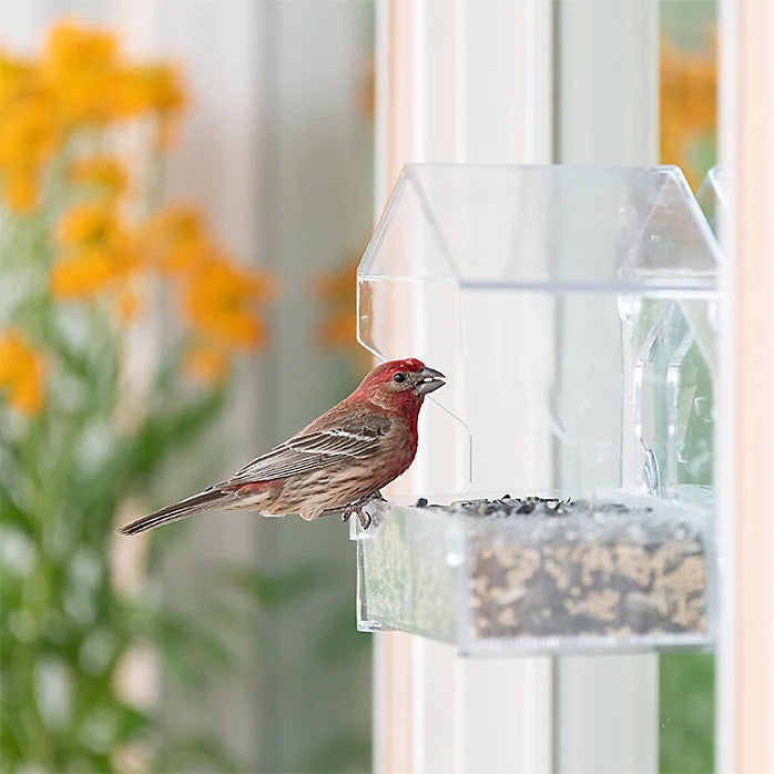 Window Bird Feeder