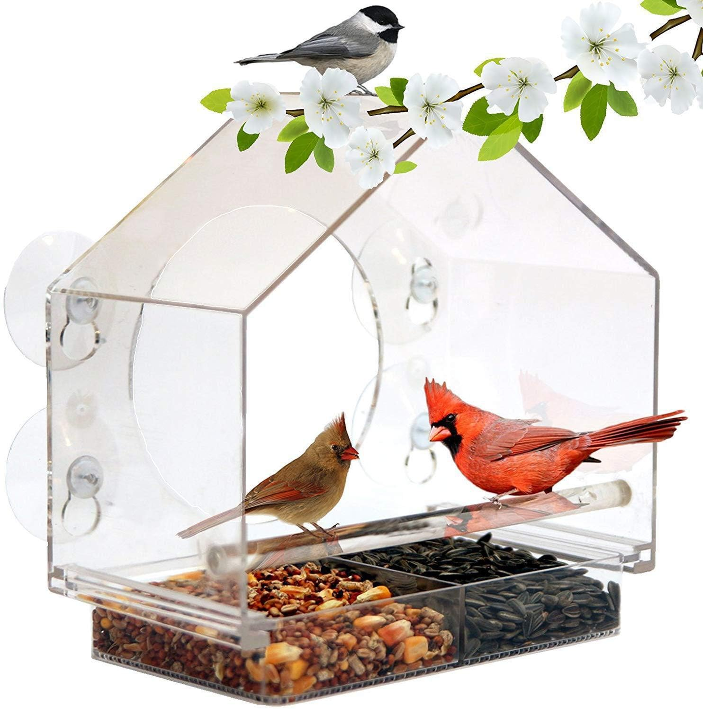 Window Bird Feeder