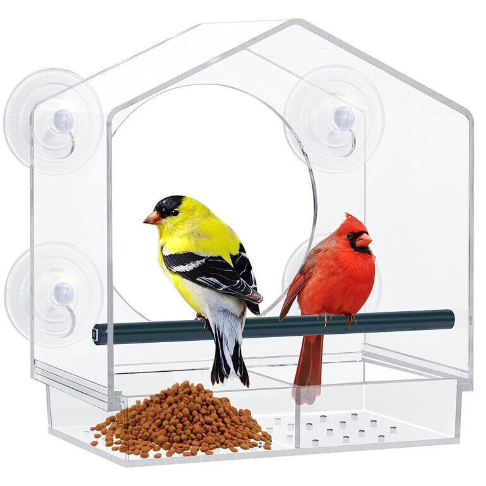 Window Bird Feeder